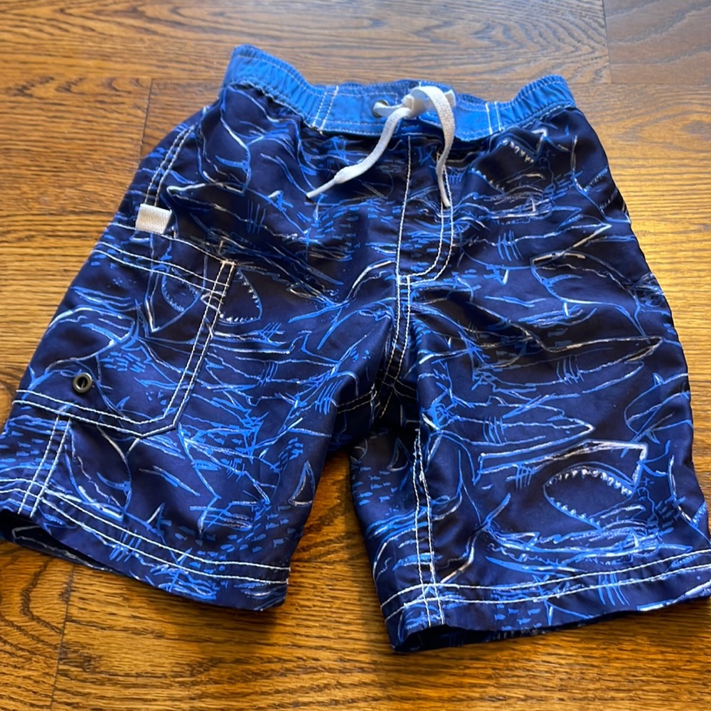 Boys Hanna Andersson Swim trunks